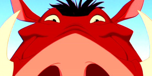 pumbaa